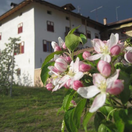 Agritur Maso San Bartolomeo Villa Romeno Екстериор снимка
