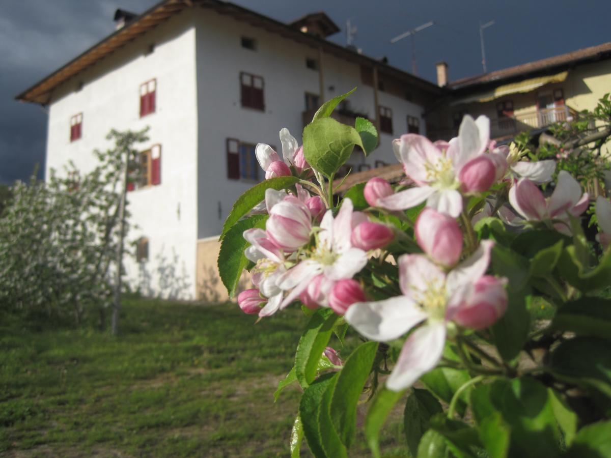 Agritur Maso San Bartolomeo Villa Romeno Екстериор снимка